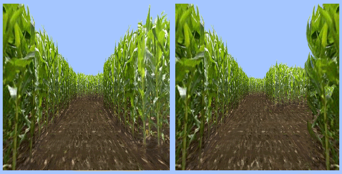 Corn Maze Game Screenshots