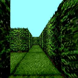 Trimmed Bushes in a Maze, Grass Walkway