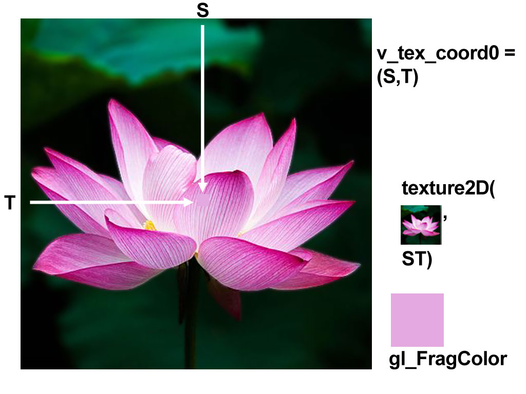 WebGL sampler2D