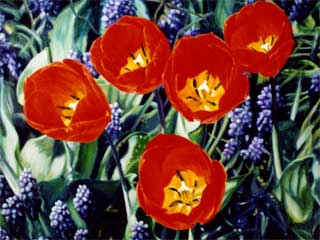 Red Tulips Aqua Background